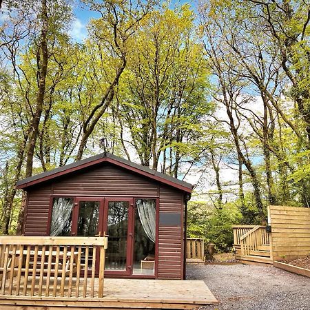 Woodland View -Hot Tub-Tenby-Carmarthen-เซนต์เคลียร์ส ภายนอก รูปภาพ