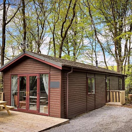 Woodland View -Hot Tub-Tenby-Carmarthen-เซนต์เคลียร์ส ภายนอก รูปภาพ