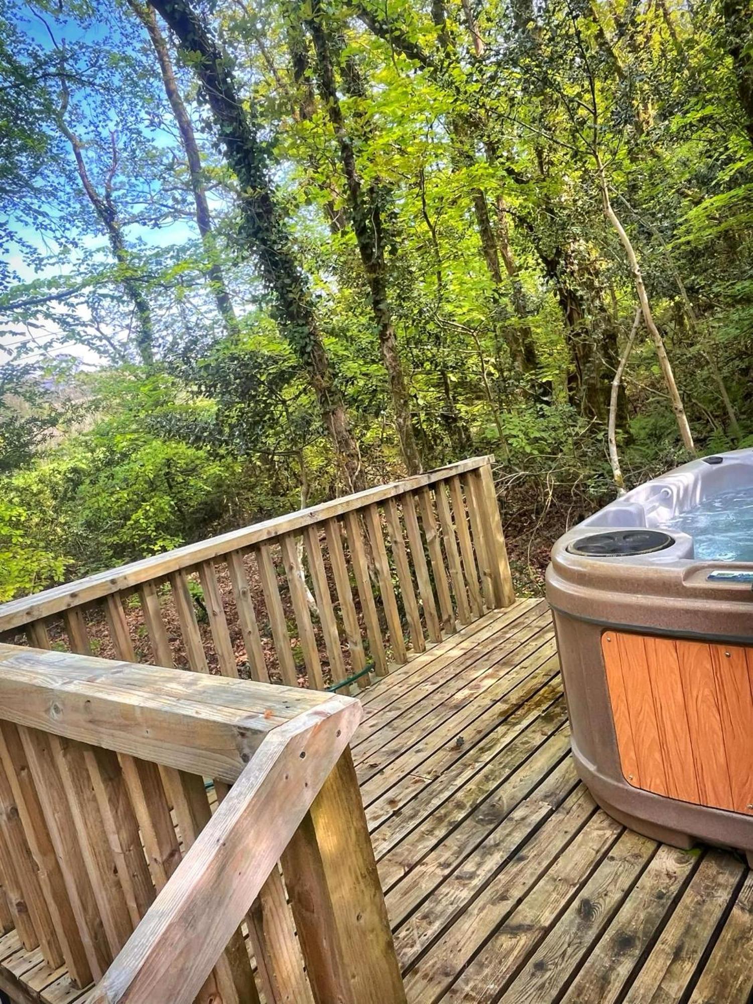 Woodland View -Hot Tub-Tenby-Carmarthen-เซนต์เคลียร์ส ภายนอก รูปภาพ